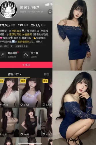 屋顶吐司边 – 微密圈/岛遇等写真&视频合集-学姐图