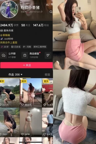 粉红小香猪 – 微密圈/岛遇等写真&视频合集-学姐图